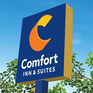 Comfort & *** Savannah